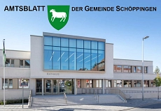 Das Bild zeigt das Rathaus der Gemeinde Schöppingen