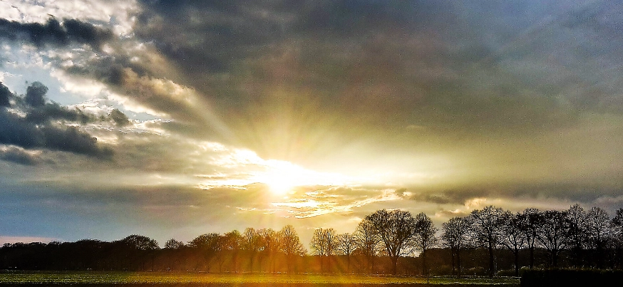 Morgenidylle im Münsterland