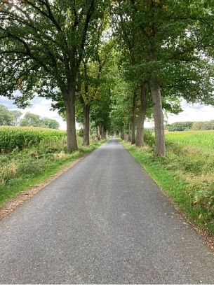 Das Bild zeigt einen Wirtschaftsweg entlang einer Allee von Bäumen&nbsp;&copy;&nbsp;Foto privat