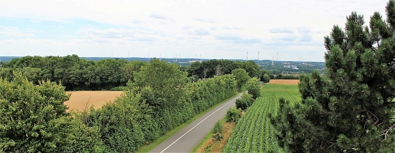 Landschaft im Münsterland